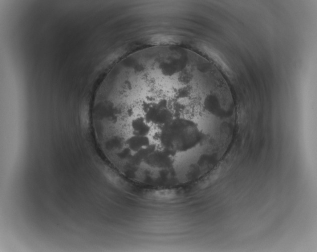 X0000111640353200907171551