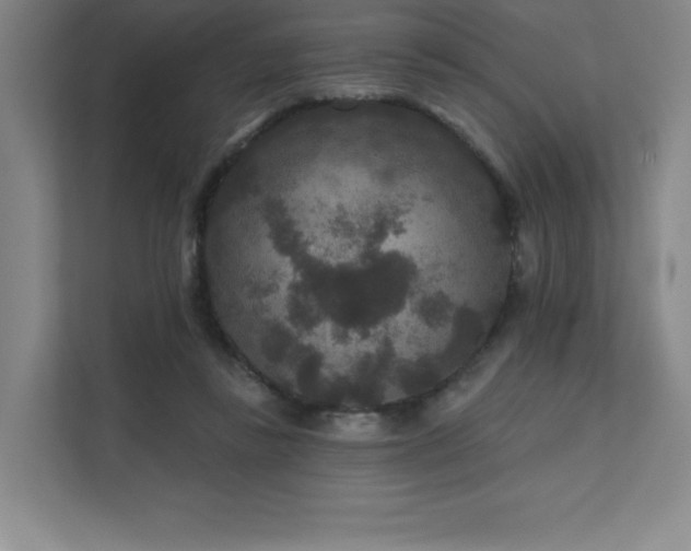 X0000111640355200907171551