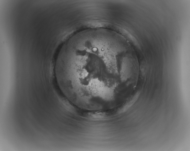 X0000111640359200907171551
