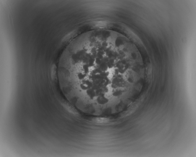 X0000111640361200907171551
