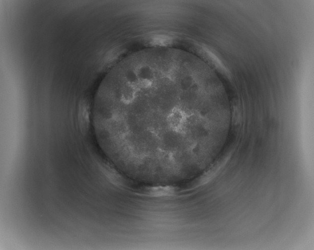 X0000111640363200907171551