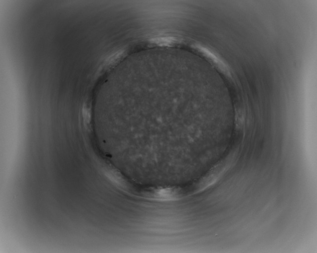 X0000111640365200907171551