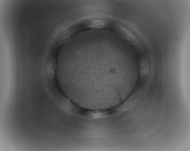 X0000111640370200907171551