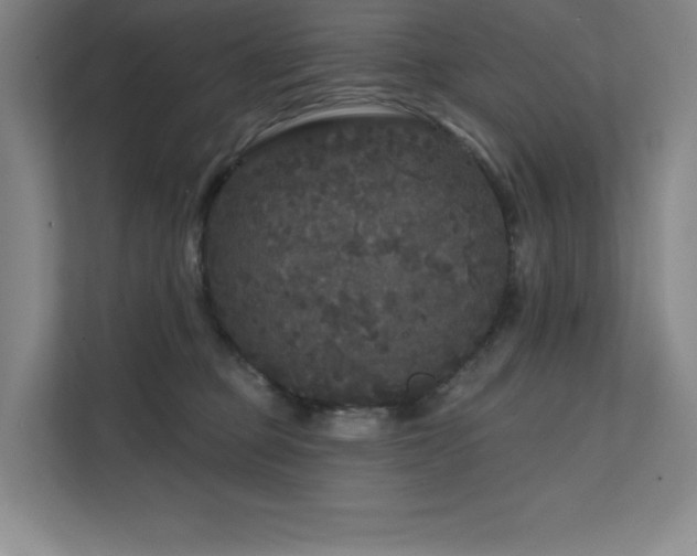 X0000111640373200907171551