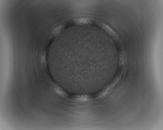X0000111640377200907171551