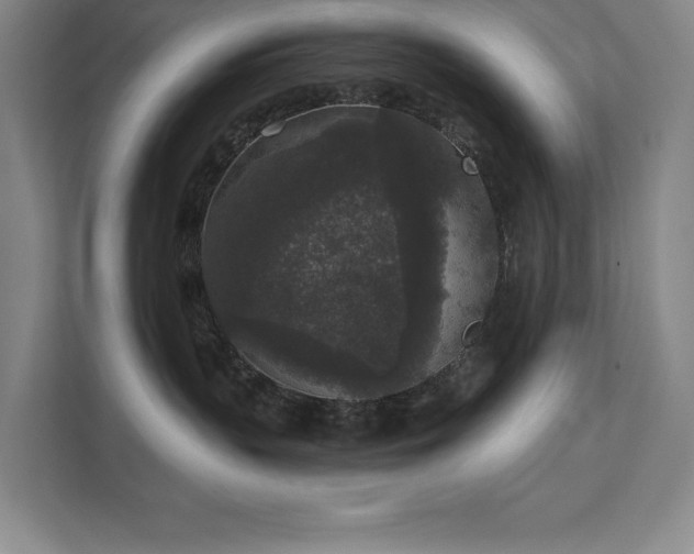 X0000111640383200907171552