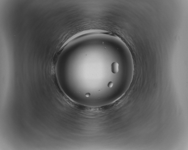 X0000111640384200907171552