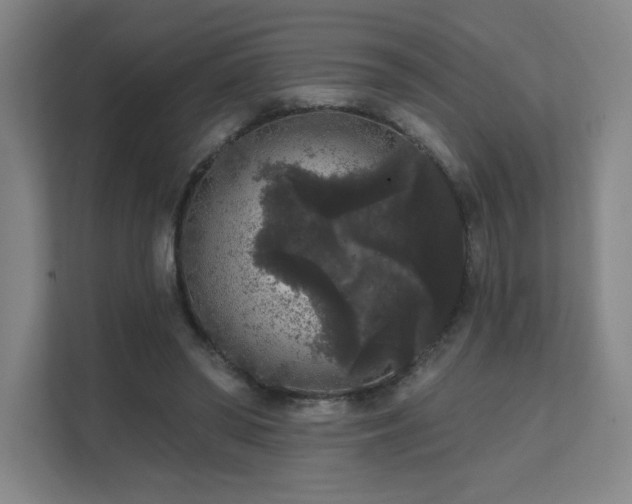 X0000111640398200907171551
