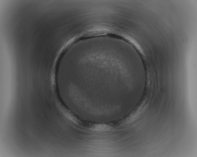 X0000111640399200907171551