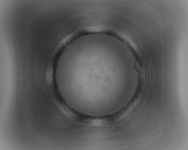 X0000111640400200907171551
