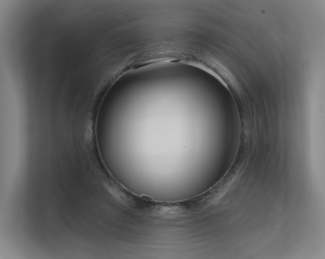 X0000111640401200907171551