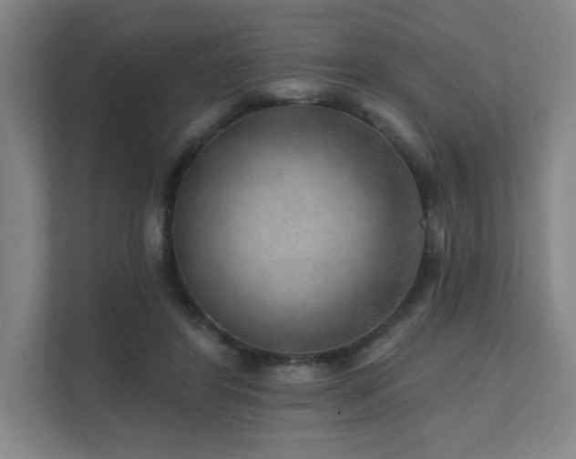 X0000111640404200907171551