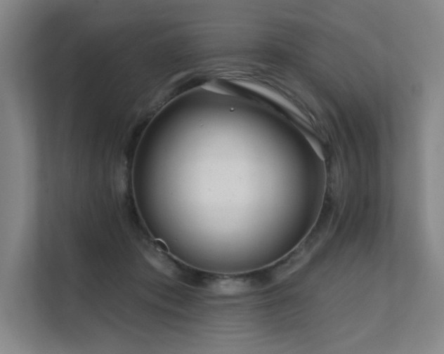 X0000111640413200907171551