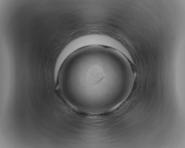 X0000111640417200907171551