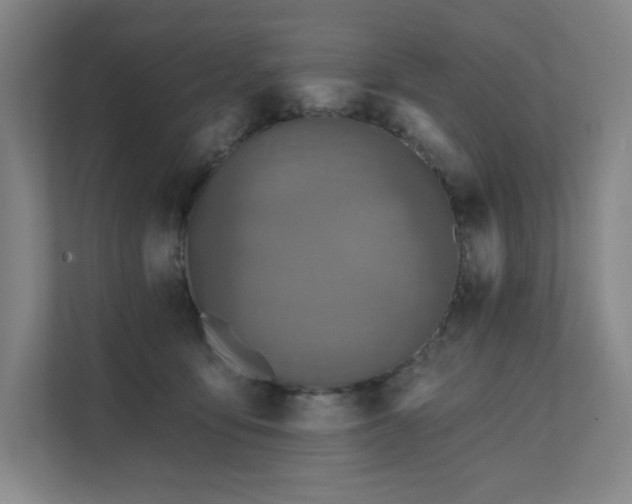 X0000111640419200907171551