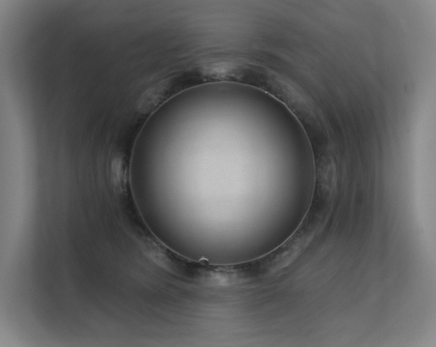 X0000111640420200907171550