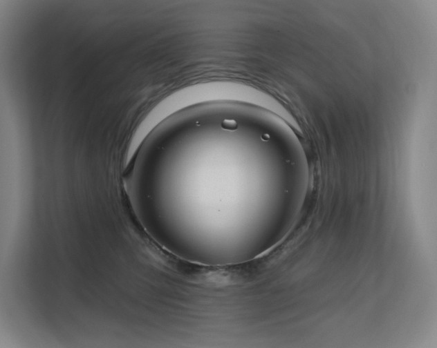 X0000111640423200907171550