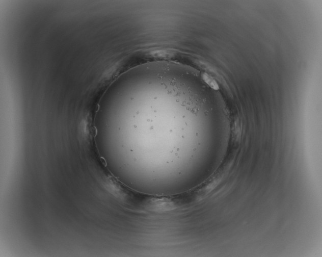 X0000111640424200907171550