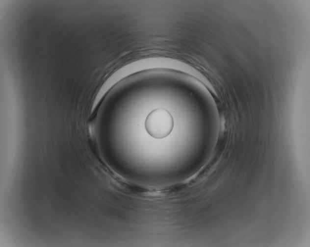 X0000111640425200907171550