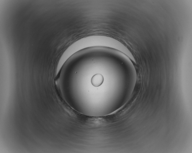 X0000111640427200907171550