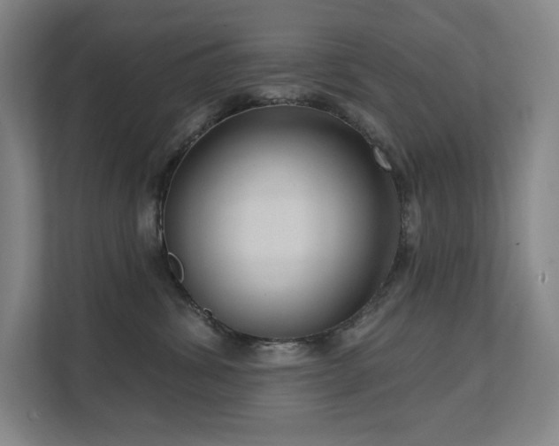 X0000111640428200907171550