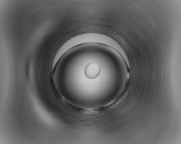 X0000111640429200907171550