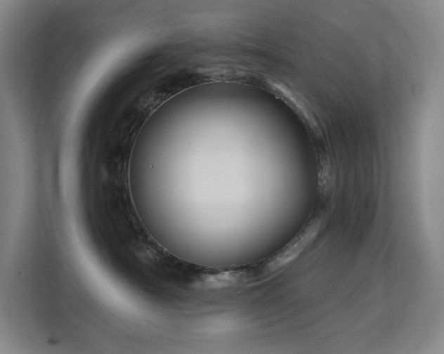 X0000111640430200907171550