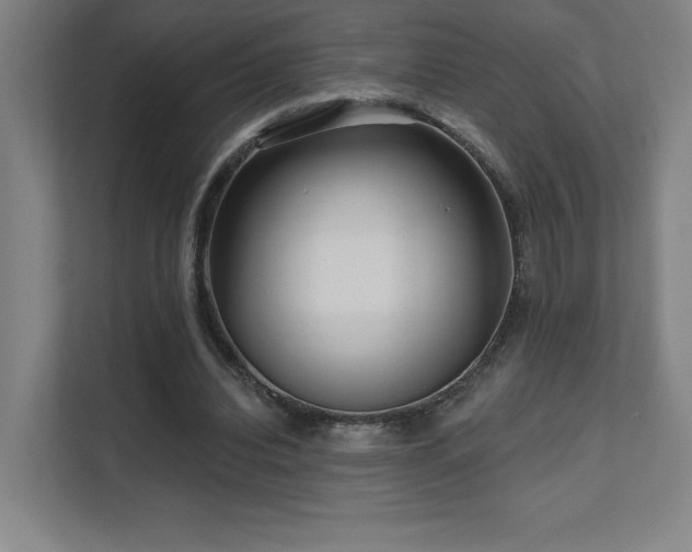 X0000111640440200907171550