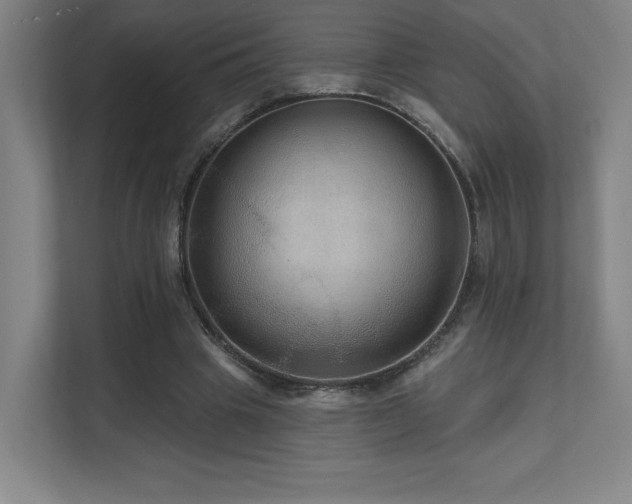 X0000111640441200907171550