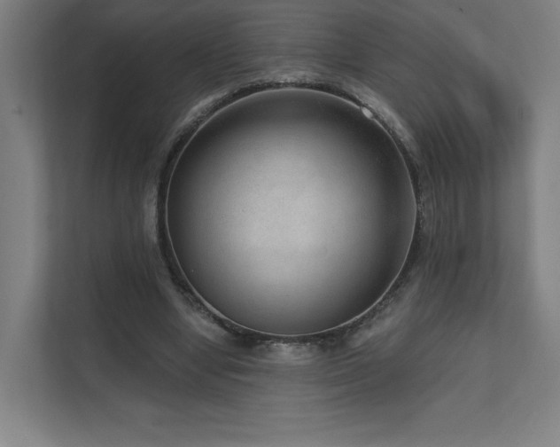 X0000111640442200907171550