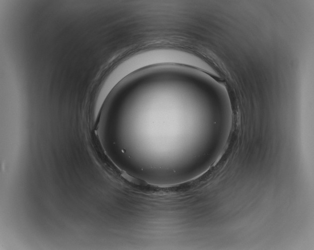 X0000111640444200907171550