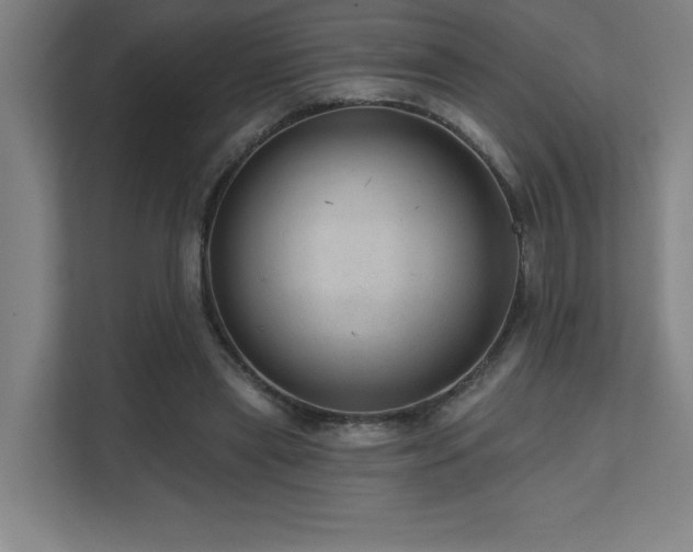 X0000111640445200907171550