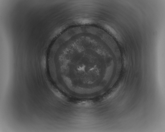 X0000111640447200907171550