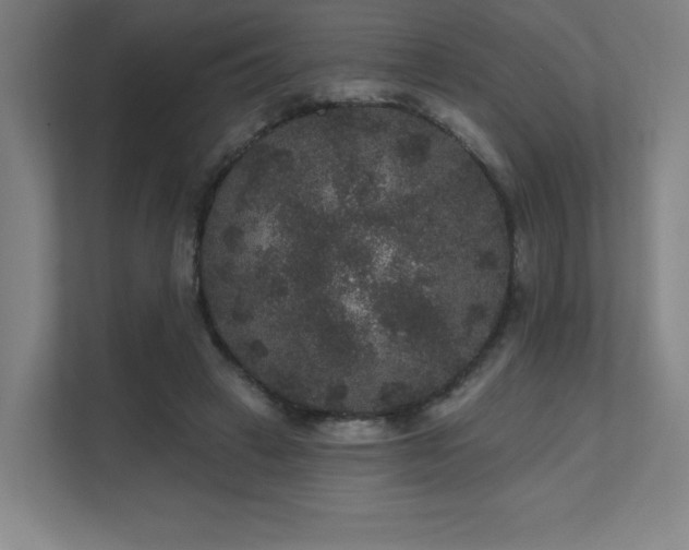 X0000111640449200907171550