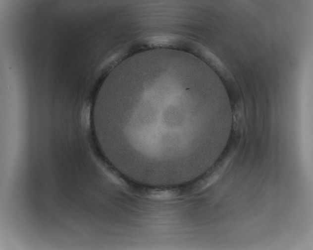 X0000111640454200907171550