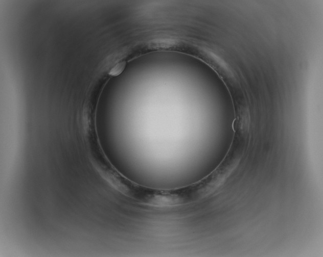 X0000111640455200907171550