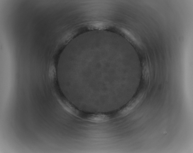 X0000111640459200907171550
