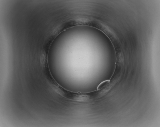 X0000111640463200907171550