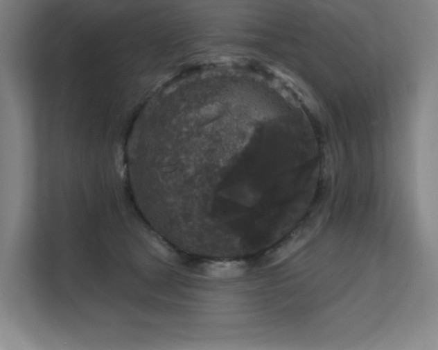 X0000111640465200907171550