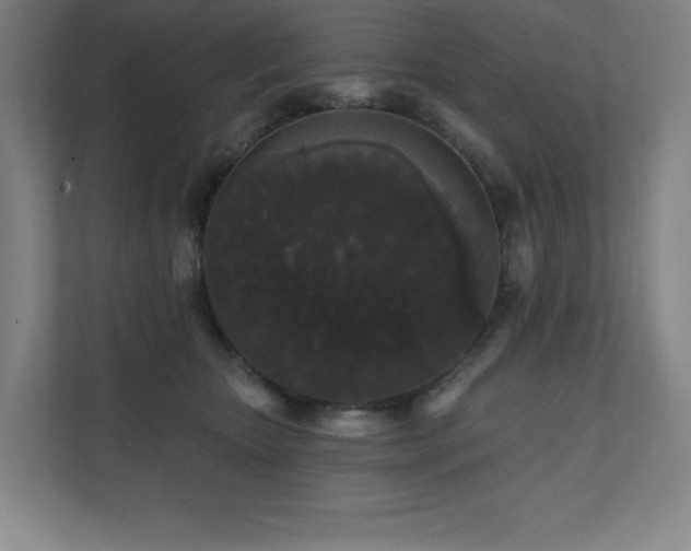 X0000111640467200907171550