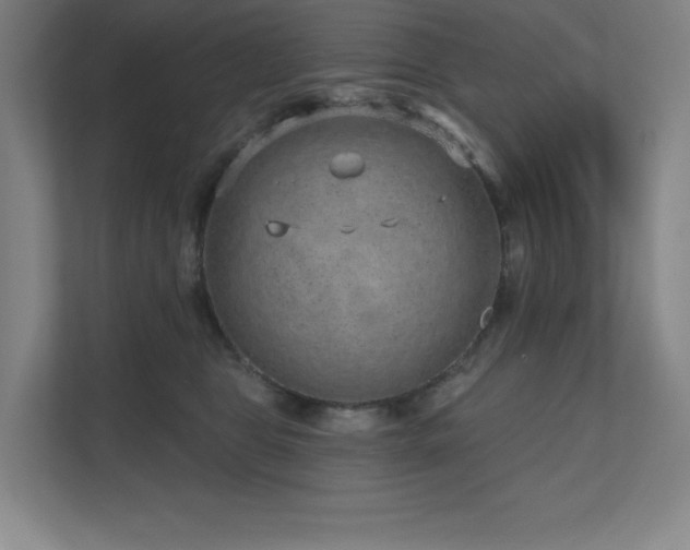 X0000111640469200907171550
