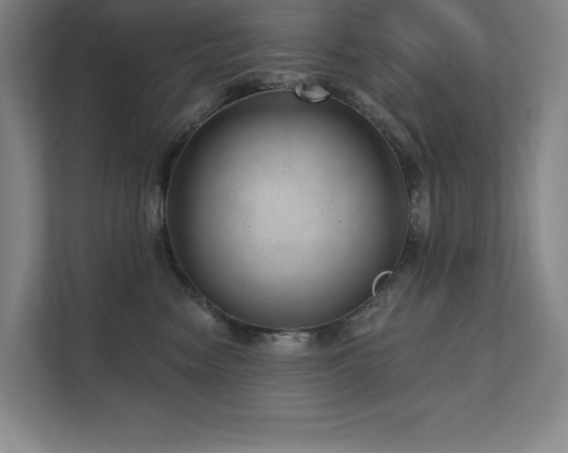 X0000111640474200907171550