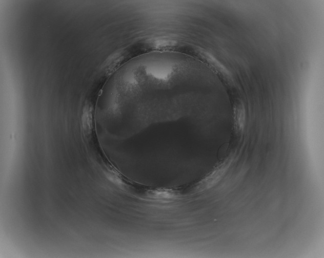 X0000111640475200907171550