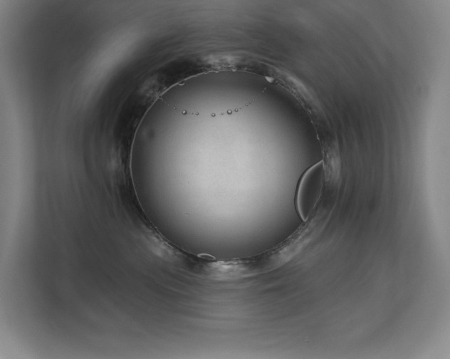 X0000111640477200907171550