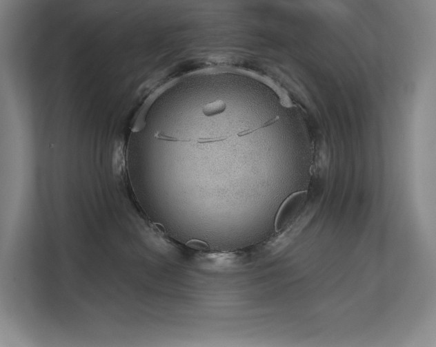 X0000111640478200907171550