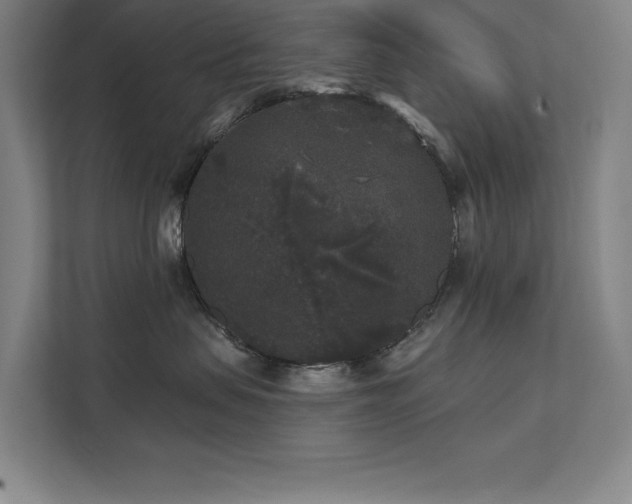 X0000111640479200907171550