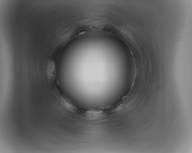 X0000111640480200907171550