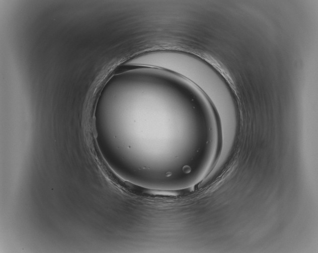 X0000111640481200907171550