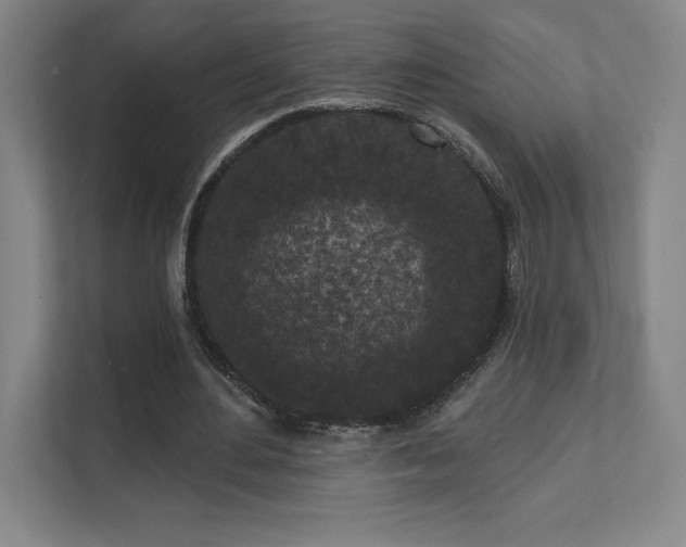 X0000111640484200907171550