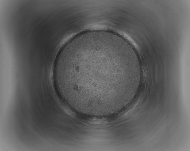 X0000111640487200907171550